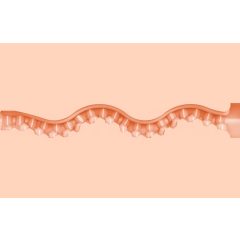 Fleshlight Maitland Ward - masturbátor na zadoček