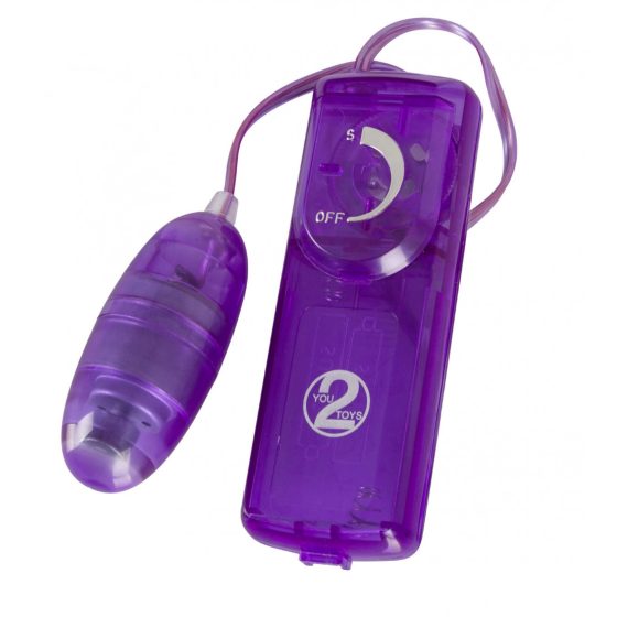 You2Toys Purple Appetizer - erotická súprava pomôcok (9 dielna)
