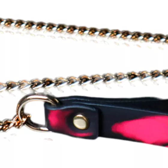 Heatmark - obojok s vodítkom