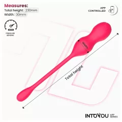   INTOYOU Kyra Pelvic - vibrátor typu venušine guličky ovládaný aplikáciou (ružový)