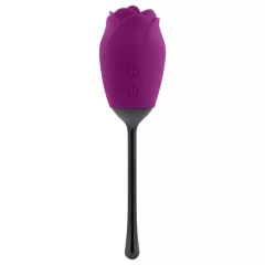   Playboy - vibrátor so stimuláciou jazykom - vodotesný, akumulátor - fialový