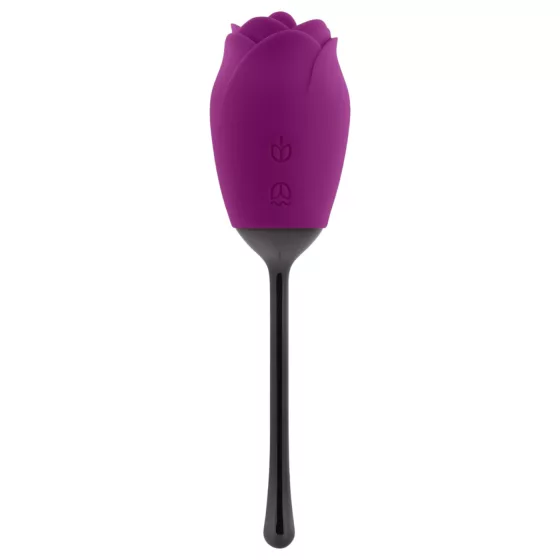 Playboy - vibrátor so stimuláciou jazykom - vodotesný, akumulátor - fialový
