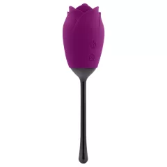   Playboy - vibrátor so stimuláciou jazykom - vodotesný, akumulátor - fialový
