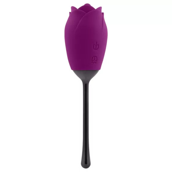 Playboy - vibrátor so stimuláciou jazykom - vodotesný, akumulátor - fialový