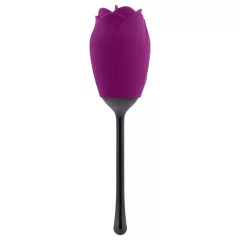   Playboy - vibrátor so stimuláciou jazykom - vodotesný, akumulátor - fialový