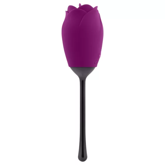 Playboy - vibrátor so stimuláciou jazykom - vodotesný, akumulátor - fialový
