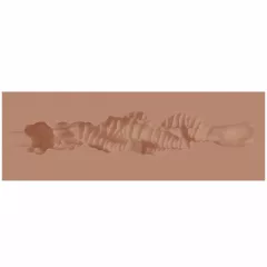   XKIN - umelá ústa masturbátor - S (tmavá naturálna farba)