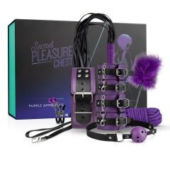   Secret Pleasure Chest - BDSM sada pre pokročilých - 14 dielov