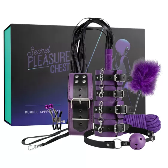 Secret Pleasure Chest - pokročilá BDSM súprava (14‑dielna)