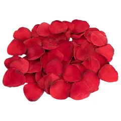   Dreamtoys Amour - nositeľný vibračný set nohavičiek (červený)