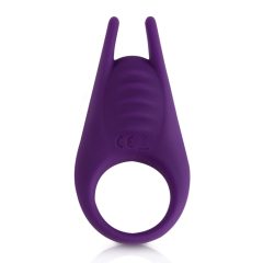   RS Soiree Pussy & The Knight Couple Ring - nabíjací krúžok na penis a párový vibrátor v jednom (fialový)